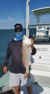 Texas redfish hunter!